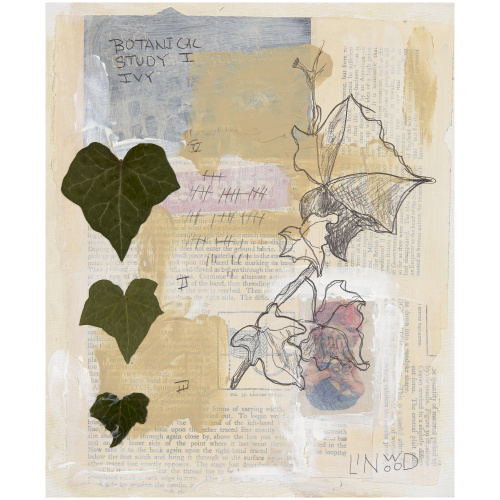 Botanical Study V1