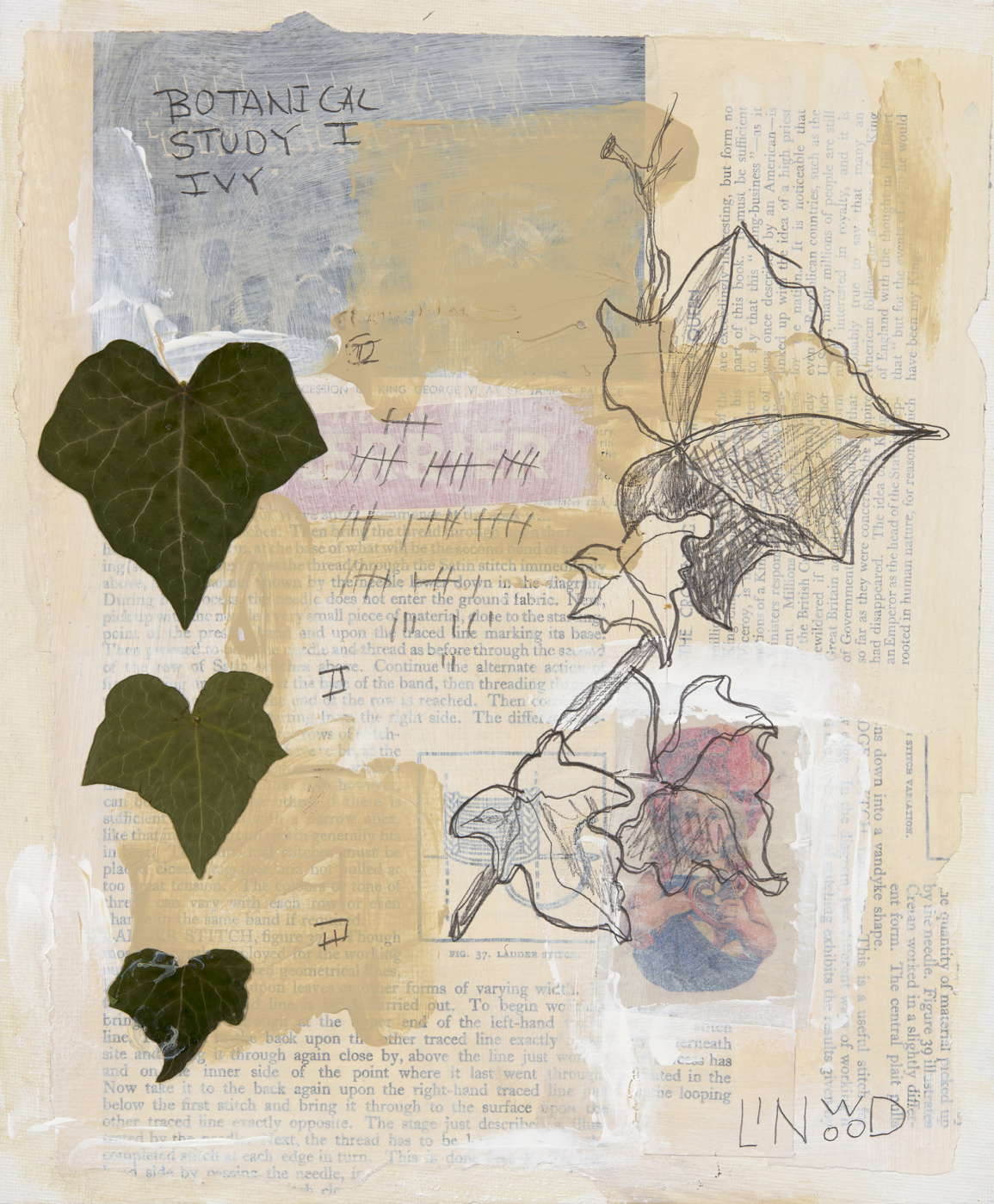 Botanical Study - Image 2