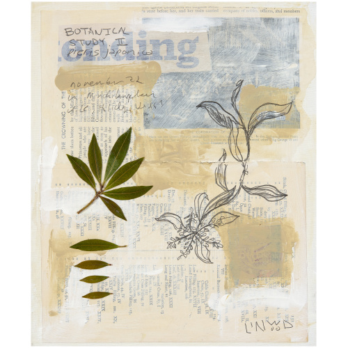 Botanical Study V3