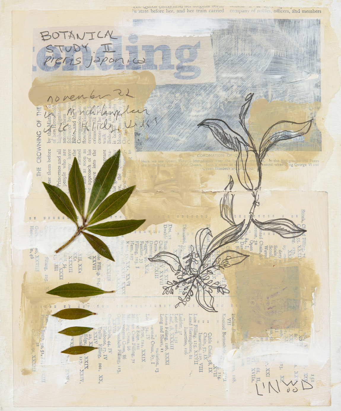 Botanical Study - Image 3
