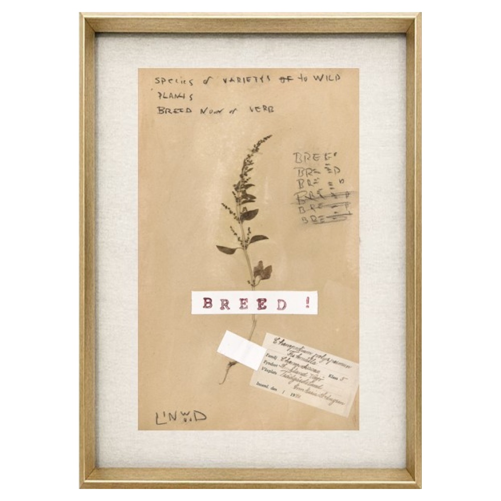 Pressed Herbs Series - Image 5