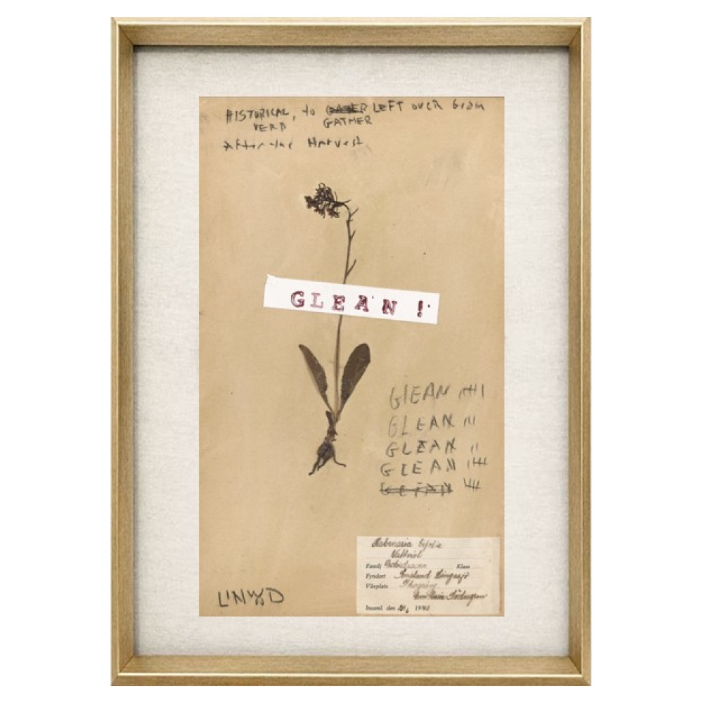 Pressed Herbs Series - Image 3