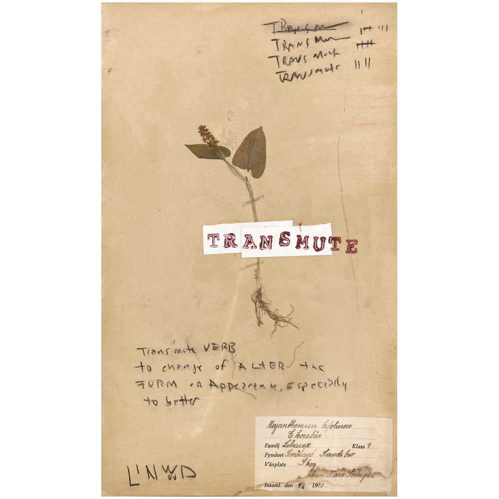 Transmute