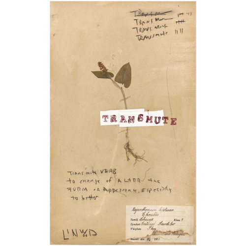 Transmute