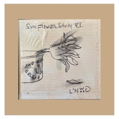 Sunflower Study V6