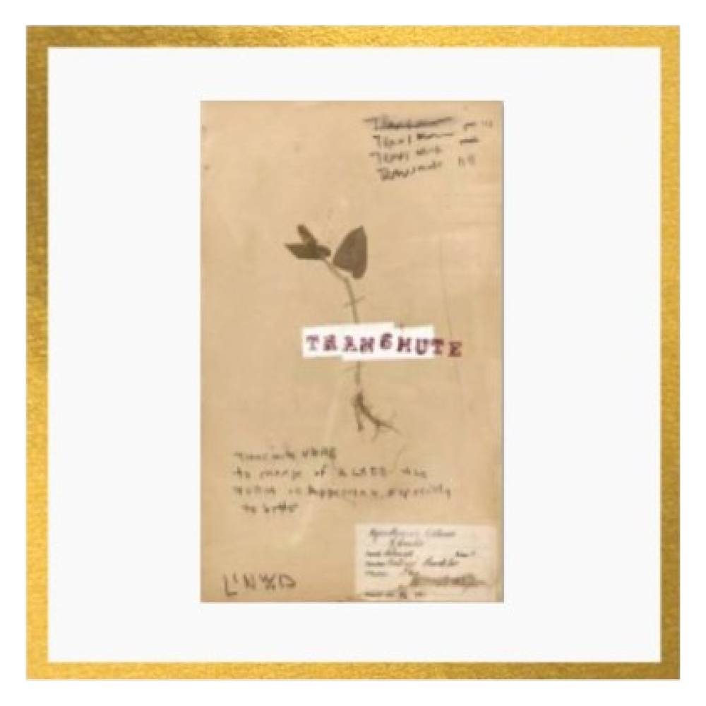 Transmute