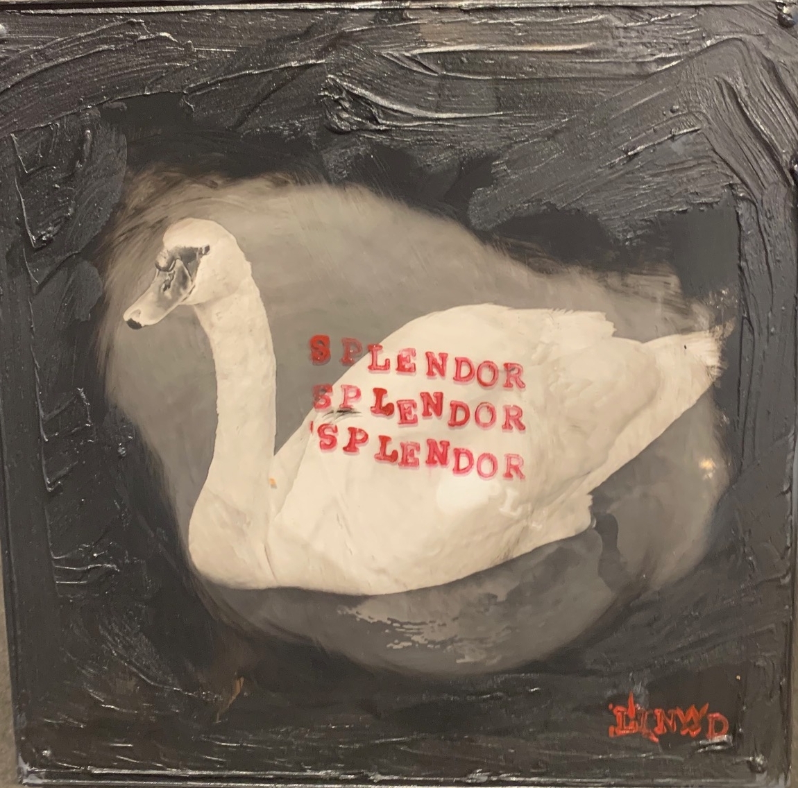 Series: Swans in Motion - Image 3