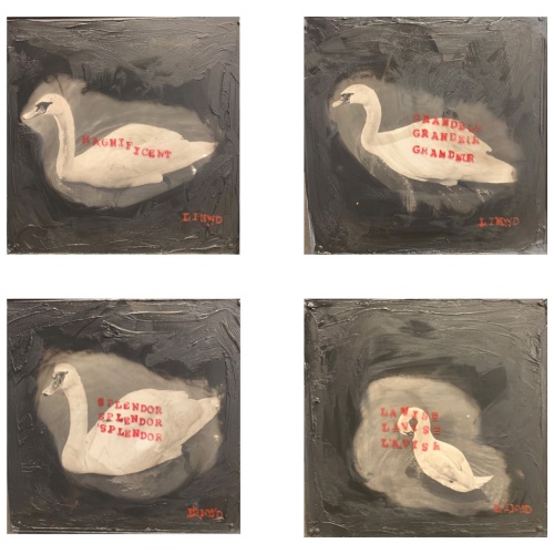 Series: Swans in Motion