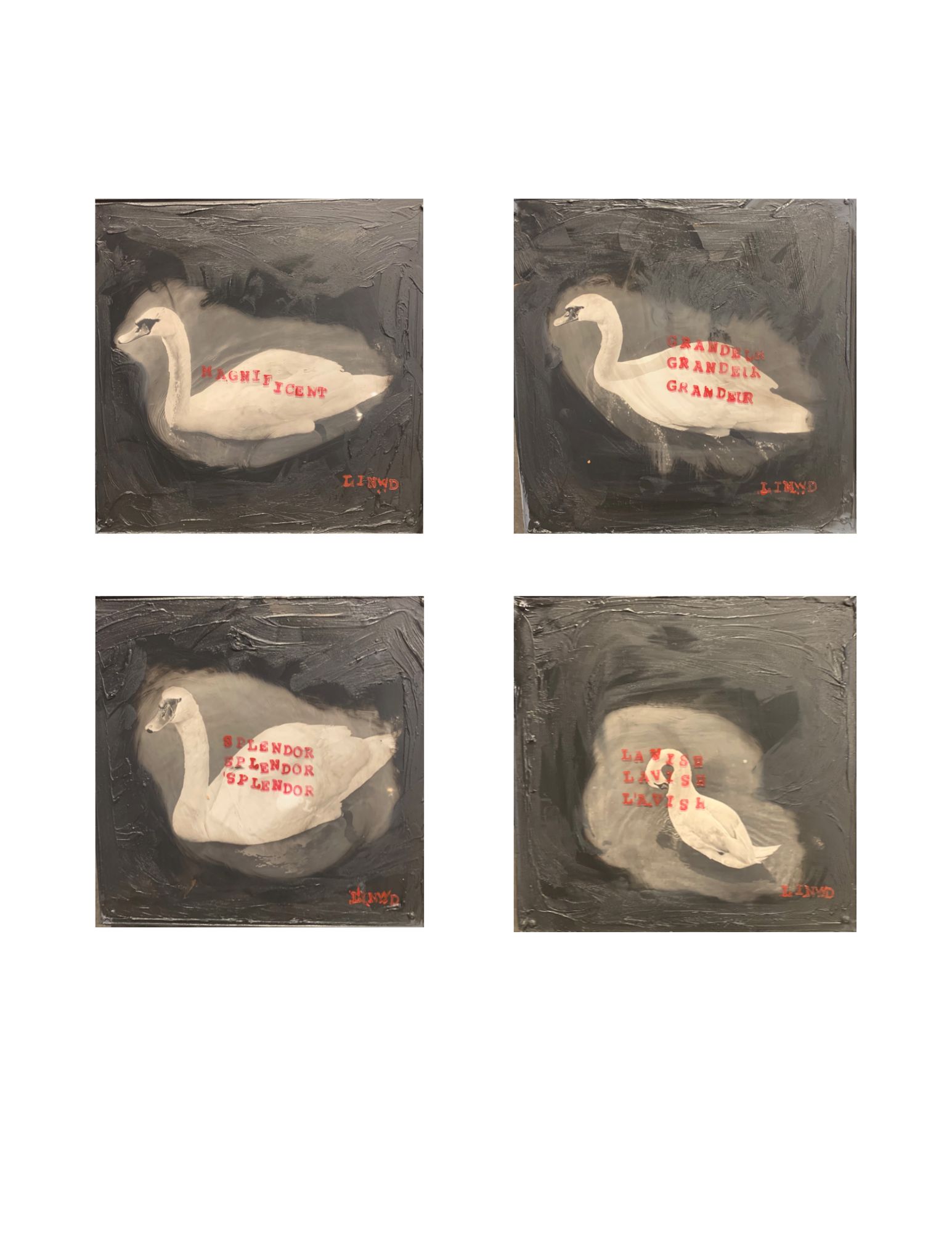 Series: Swans in Motion