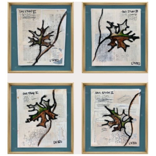 Oak Study
